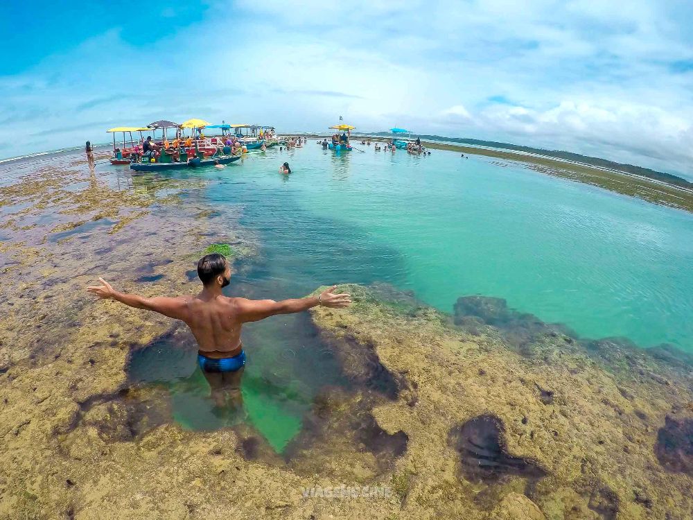 Fotos Subaquaticas Piscinas Naturais Maragogi